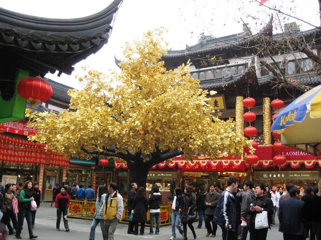 広場の真ん中に不思議な樹がありました。決して、枯れ木ではありません。葉が金色の造花ならぬ、造木です。昨年は見なかった記憶です。