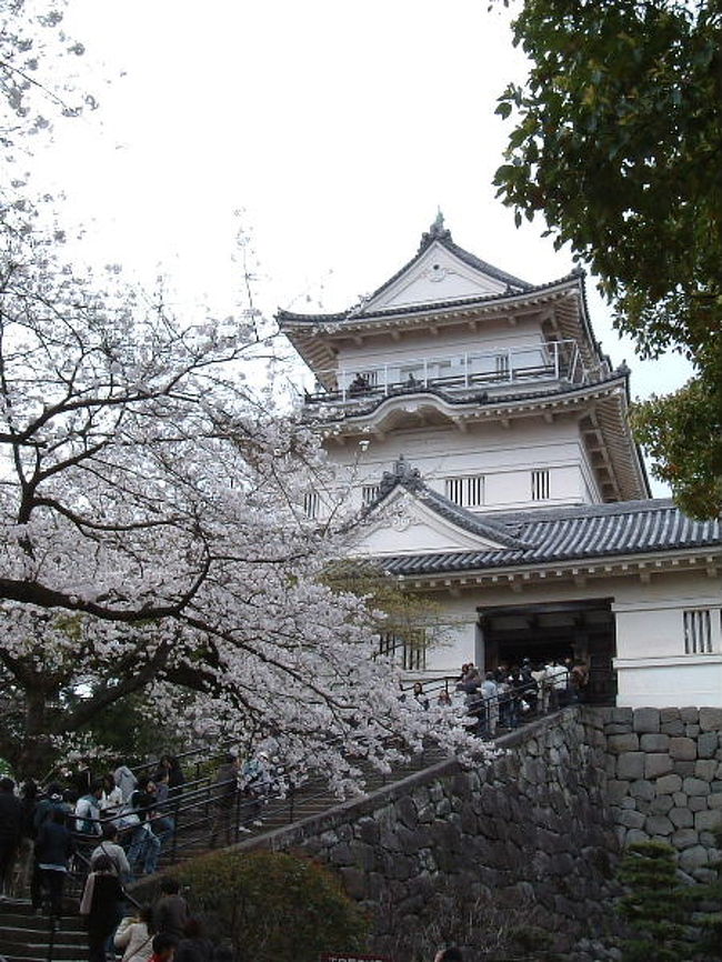 天守入り口と桜