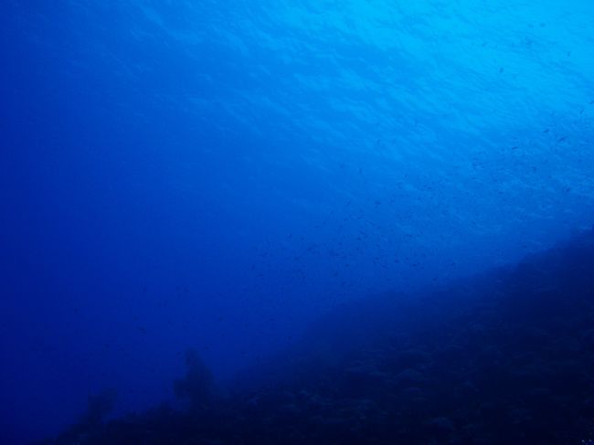 海の青が本当にキレイ！！<br /><br />沖縄んブルー