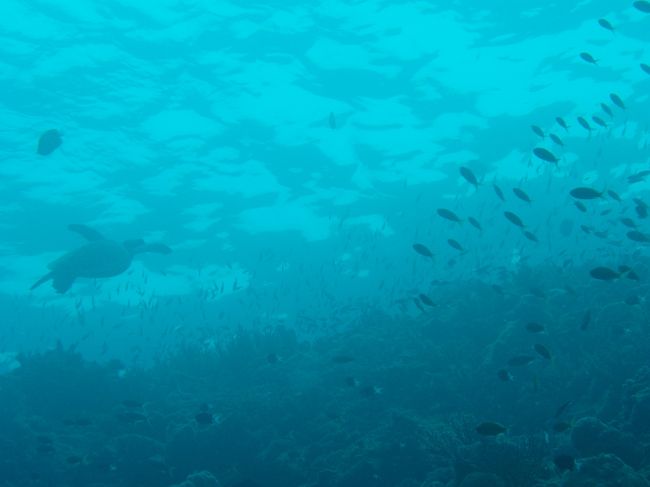 インストラクターのおねーさんがいろいろと<br />説明してくれていたら、その後ろにカメー！！<br />