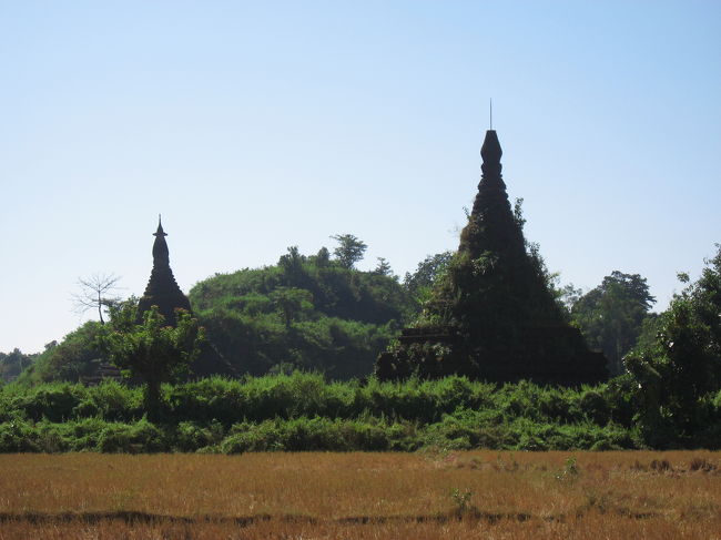 ピタカタイ(Pitaka Taik)そのものは、ガイドブックそのまま(正直に言えばつまらない)ですが、行き帰りの道のりはとても楽しい。<br /><br />そしてそのすぐ近くの草むしたパゴダ。