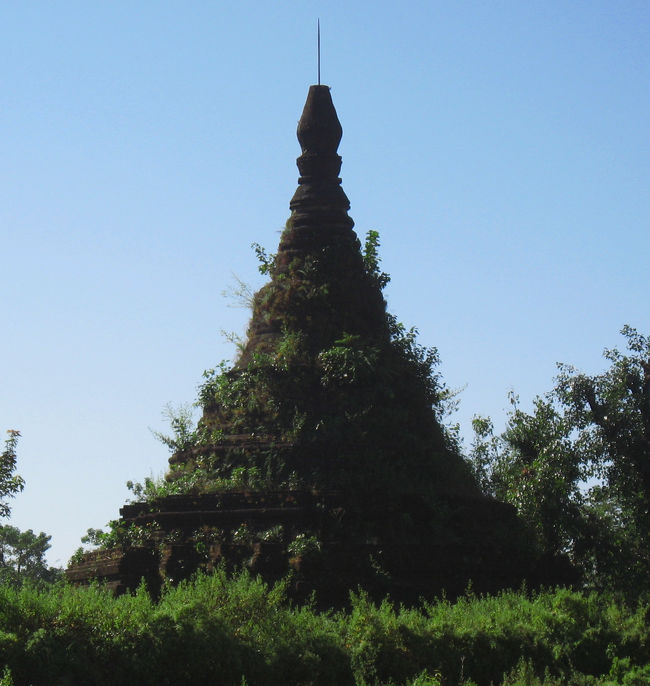 僕にはとても美しく感じる。いたわしさまでもが。<br /><br />ただ、熱帯のこの地では、朽ちゆく美しさは永続できない。<br /><br />この姿に出会えてよかった。