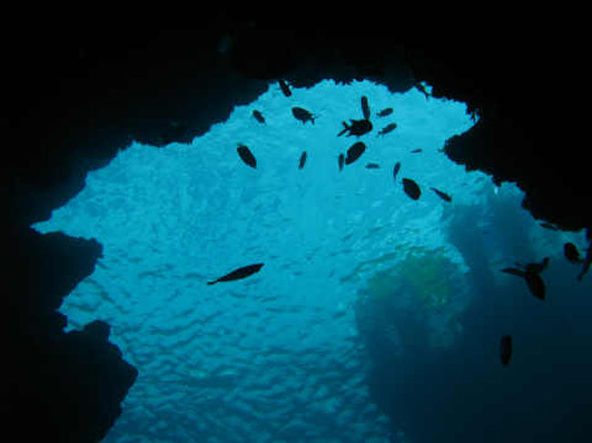 パラオ・ブルーホールの幻想的な光景です。