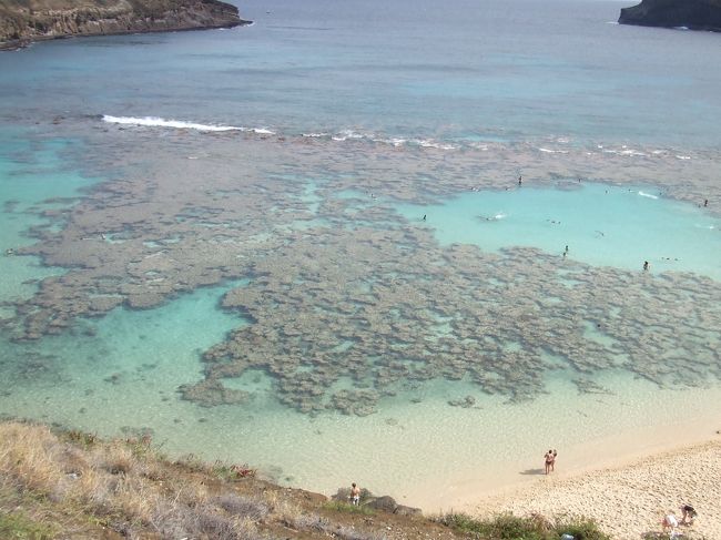 ハナウマ湾でシュノーケリング<br />※ハナウマ＋ダイアモンドヘッド送迎　＄１７/人
