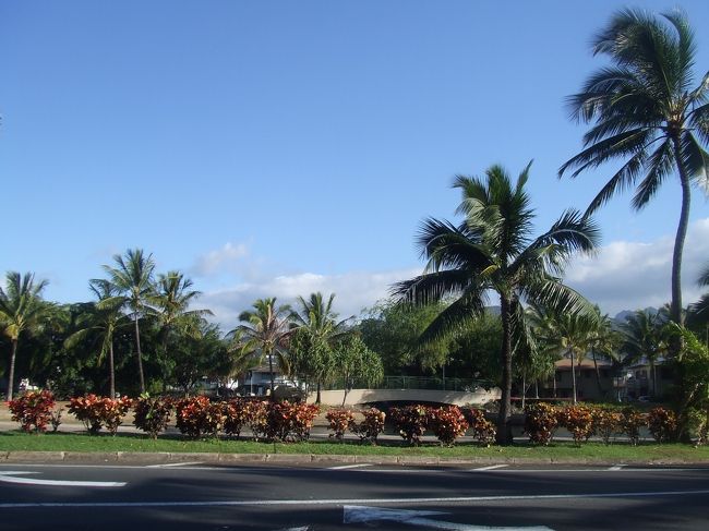 空港〜ハレクラニまでタクシーで＄３８（チップ込）。<br />11時頃ホテルについたけど、すぐにチェックインできてお部屋にいけました^^<br /><br />そういえば朝青龍さんも同時期宿泊してたようで<br />何度かお見かけしました^^