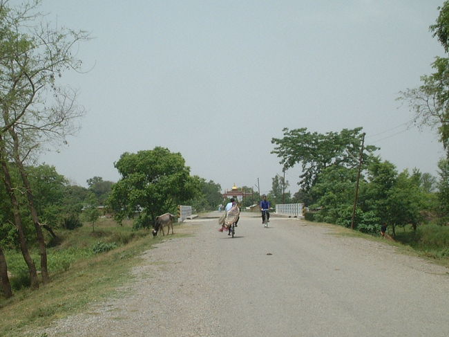公園内の中はめちゃ広いです。しかも、5月は酷暑期で体力の消耗が激しいです。