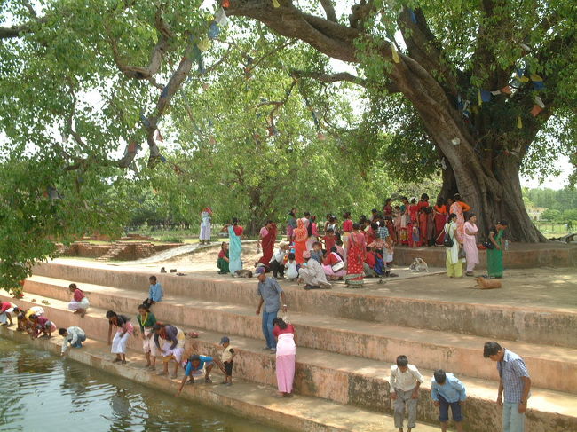 菩提樹の下の池は、ブッダが産湯を浸かった跡と言われています。