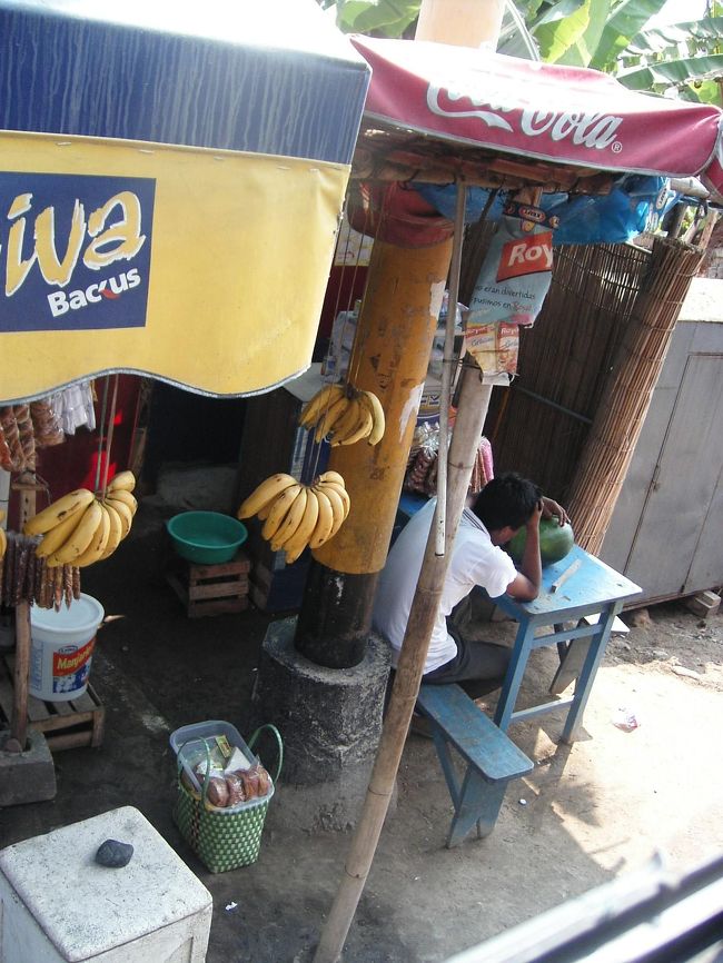 現地の人もあまりの暑さにだれてます。<br />