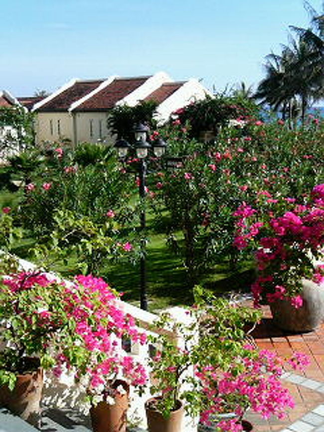 ﾛﾋﾞｰからの風景。鮮やかなﾋﾟﾝｸのお花がとってもｷﾚｲ♪