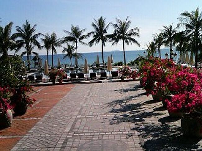 ﾌﾟｰﾙの向こうがﾋﾞｰﾁ。