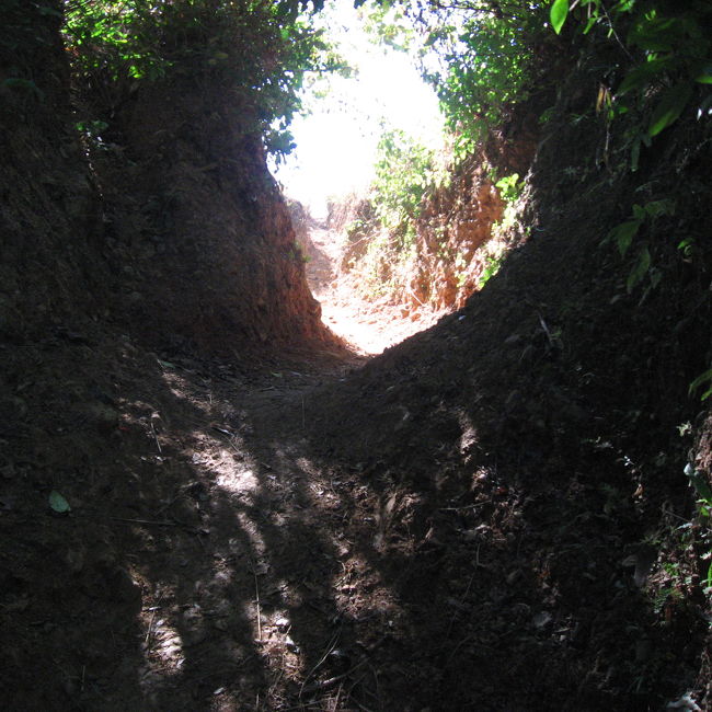 こういう道があれば行かずにはおれん！<br /><br />そういう(僕みたいな)変人以外は、迷わずに進めると思います。