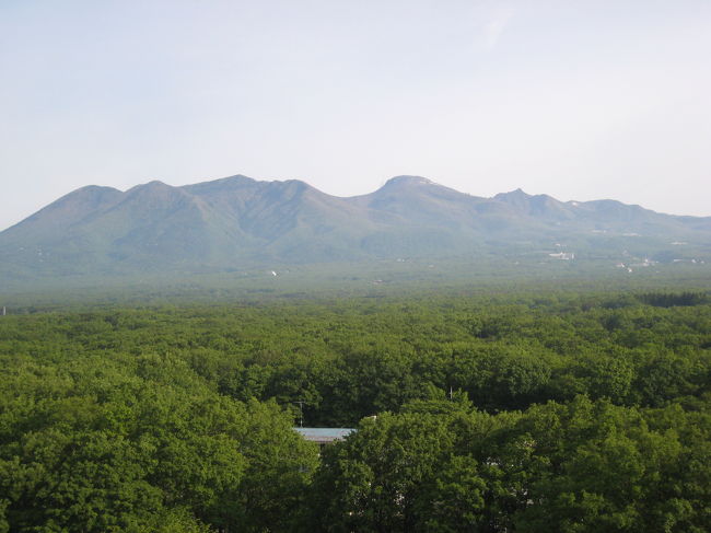 部屋は、ベッドルーム・和室・リビング３部屋ある「コーナースイート」でした。<br />部屋からの眺望はこんな感じです。<br />すがすがしく、気分が晴ればれになります。「来てよかった」と思える瞬間です。