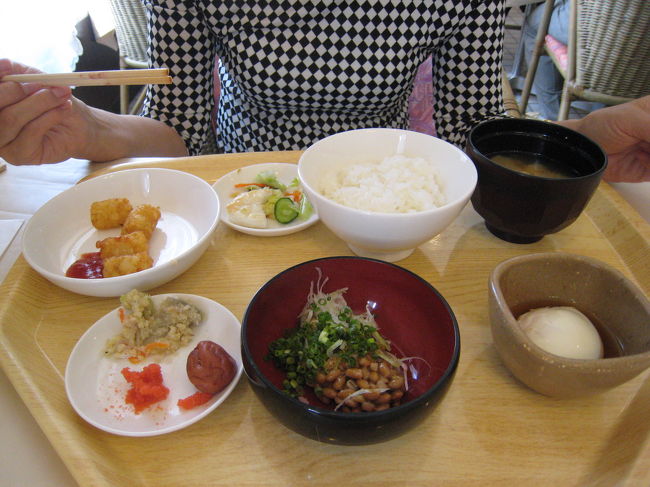 ウオーキングをして、朝風呂に入ってそして朝食です。もう、「食べたくない」わけがありません。<br />なんでもおいしく食べられそうです。<br />家では朝はパンを食べていますが、どういうわけか今朝は和食を選びました。<br />とてもおいしかったです。