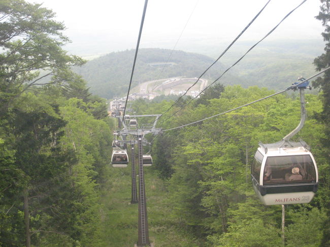 二日目は、五葉つつじを見に行きます。<br />マウントジーンズスキー場の頂上付近が群生地として有名です。<br />スキー場は、ボトム９５０Mから、トップ１，４１０Mでロープウエーは１，８６０Mの距離があります。<br />頂上はさすがに寒い感じがしました。半そでではきついです。ジャンパーをはおりました。<br />なお、ロープウエーは五葉つつじの開花シーズンに合わせて、今年は、５月１２日（土）〜６月１７日（日）まで運転するそうです。<br />ロープウエー、楽しかったですよ、眺めは最高です。<br />残念ながら曇っていたので見晴らしはイマイチでしたが。