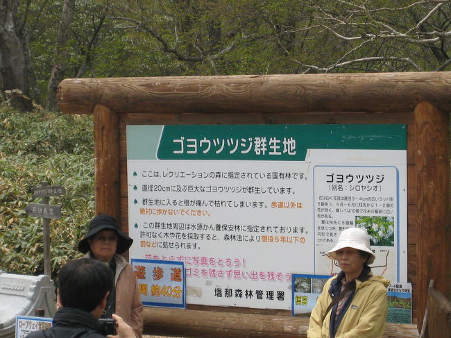 五葉つつじ群生地の遊歩道があります。<br />今回は、まだあまり咲いていませんでしたので歩くのはやめましたが、1周40分くらいで回れるそうです。<br />でも、けっこう斜度があってきつそうです。