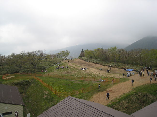 五葉つつじを見るために、けっこう多くの人々が来ていました。<br />さて、これから、どこに行こうかな？<br />お昼はドコで食べようかな？<br />南ヶ丘牧場にもう一度立ち寄ってバターを買っていこう！<br /><br />旅日記はこちらでＥＮＤといたします。