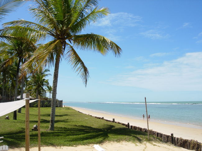 ダイビングツアーに参加