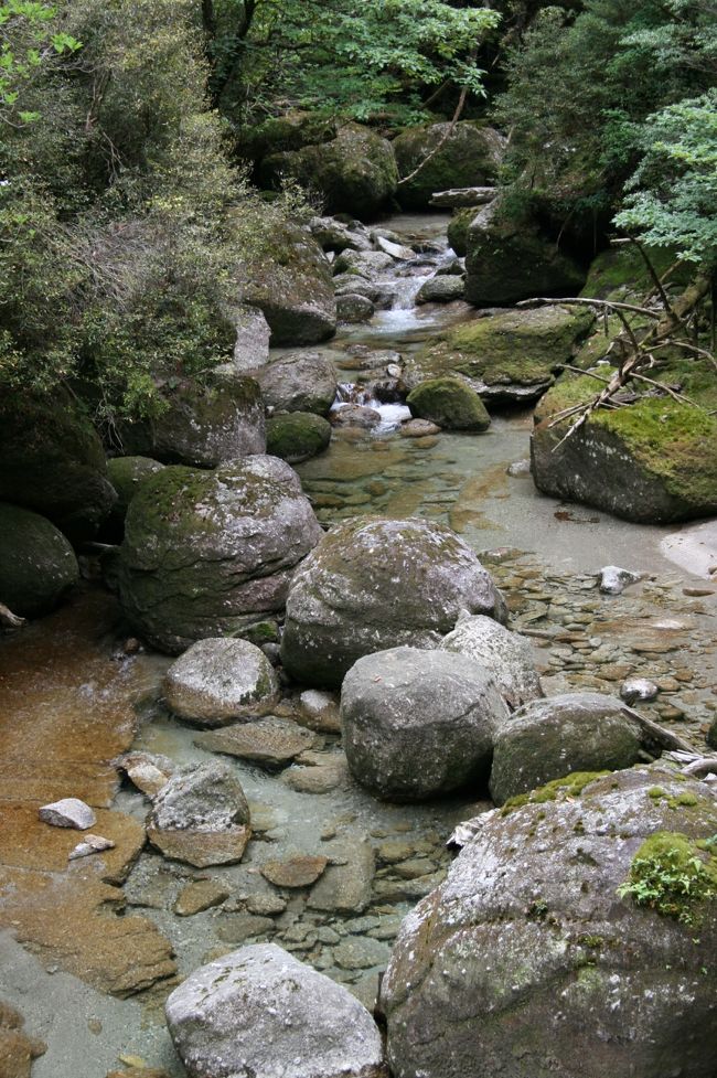 この透き通った水！綺麗です。