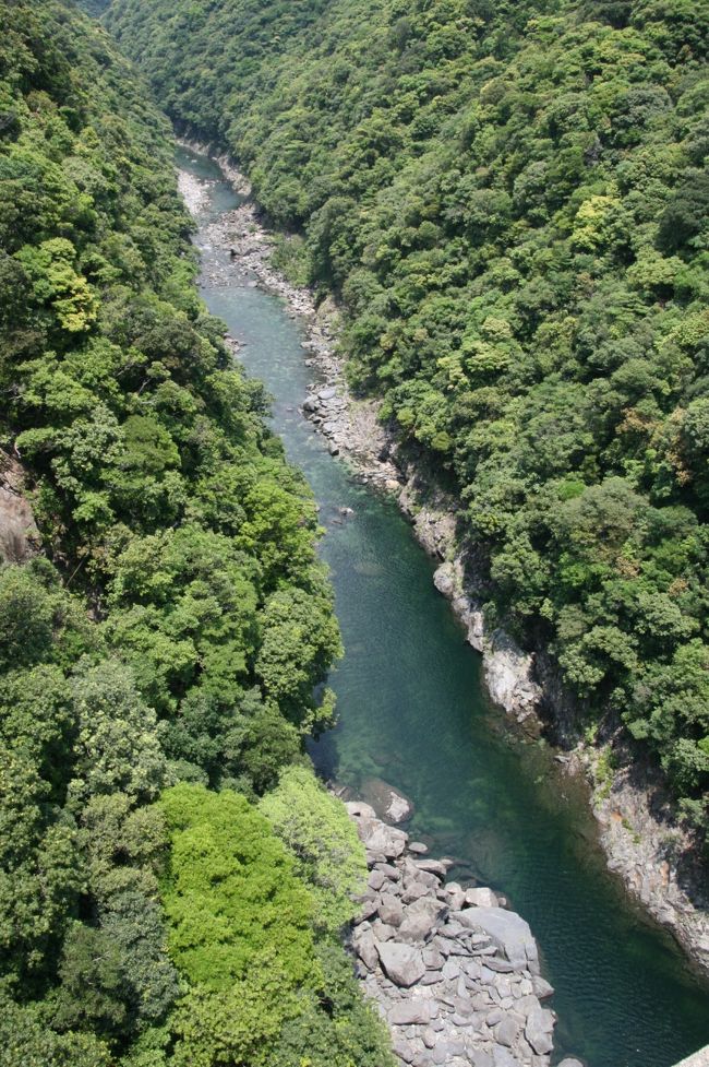 安房川。<br />綺麗なグリーンの川