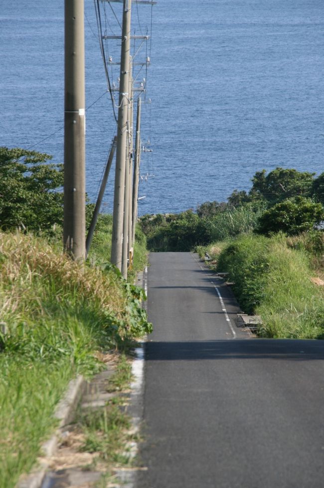友人に教えてもらった素敵な道。