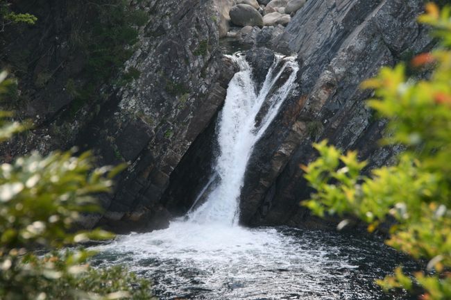 おみやげ屋さんの近くにトローキの滝があり、これが最後。<br />このまま空港へ。<br />時間がなくバタバタして飛行機に乗り、アッという間に伊丹。なんだか旅を思い返す時間もなかったな〜<br />でも日常に戻ってからよけいに屋久島の自然が恋しくなりまた行きたい島。<br />戻りたい所がまた増えちゃいました（笑）<br /><br />おわり