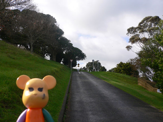 『マウントビクトリア』<br />それにしてもオークランドは坂が多すぎるのだ。<br />【ハリー：(｀-´ﾒ)頑張れ】<br />ハリーはオイラのポケットに入っているだけだから楽でいいのだ。