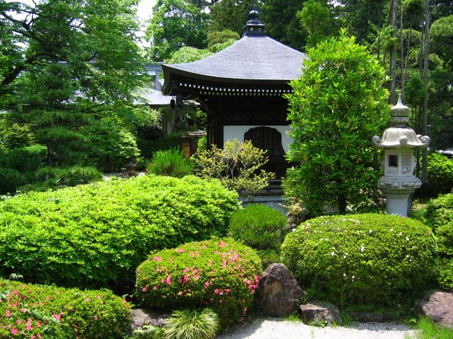 広いとはいえない遊歩道をあるいていきますが、キャラボク、ツクシハギ、ミヤギノハギなどの草木に出会うことができます。