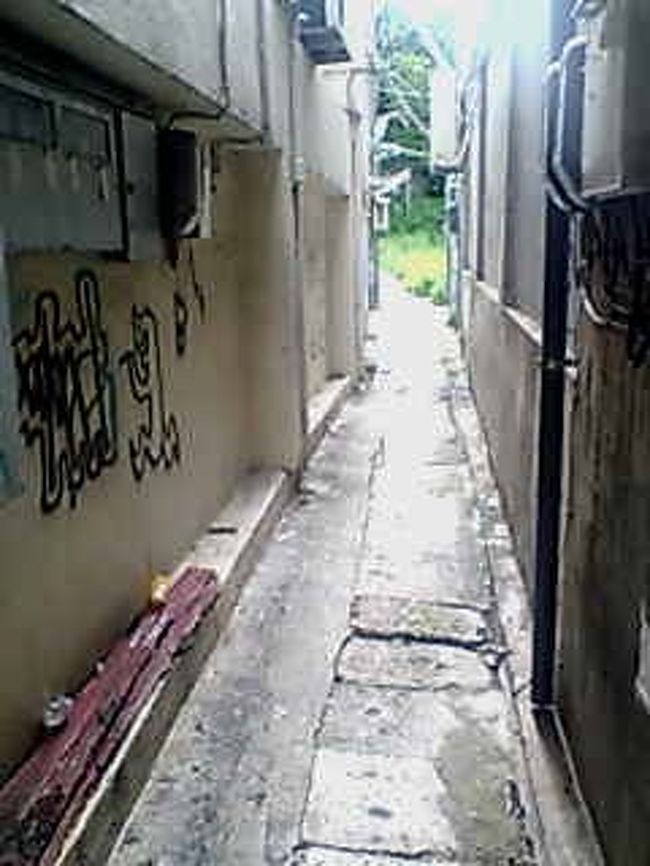 再び、脇道に入ってみる。<br /><br />すごいトイレ臭。<br />下水がそのまま流れている気配。