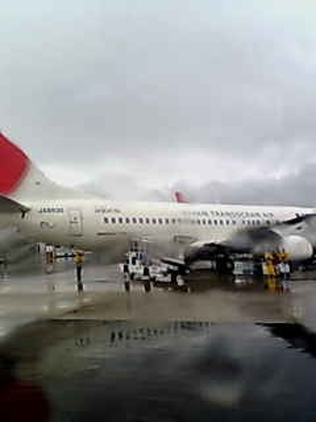 平和通りと呼ばれる、公設市場がある通りへも行ってみた。<br /><br />うわぁー！！１０年前に買った美味しい、さーだーあんだぎぃーの<br />お店がまだあったヨ！<br /><br />早速、紅芋はまだ揚げているとのことで、<br />かぼちゃを買って食べた。スゲーうまい（TーT）<br /><br />プラプラァしながら、ホテルを１１時にチェックアウト。<br />ゆいレールで空港に向かい、<br />ANA 1769便   那覇 12:40発	石垣島行きへ搭乗。<br />13:35石垣島へ予定通り着いたが、外は雨雨雨…鬱。