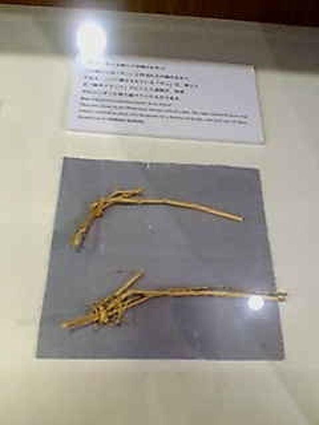 3647名がマラリアで亡くなった。<br /><br />日本兵がなぜ、島民をマラリア有病地帯へ、強制移動させたのか？<br />それは日本兵がその島へ避難するためであり、食料確保するため。<br /><br />ことごとく、沖縄戦は自国民でありながら、自国民である日本兵との戦いそして、その犠牲でなりたっていたといえる。<br /><br />写真：これはマラリアで無くなった家族のかわりとして、大事にもっていたというもの。<br /><br />人が生きていた証として、生かされている者にとっては<br />心の支えになったのかもしれないとおもう。