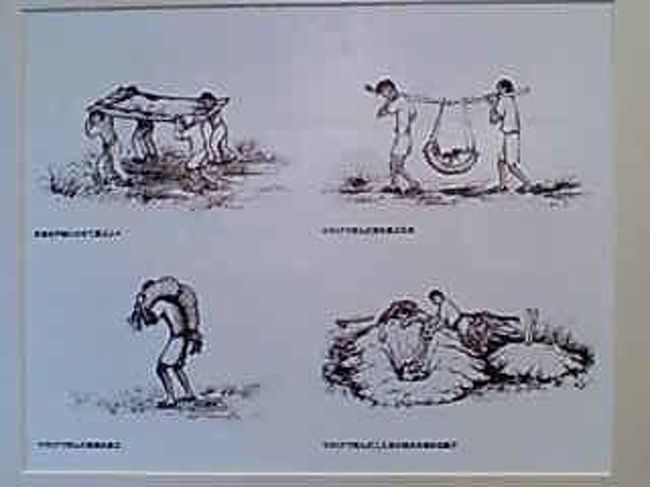 狭い島は、マラリアで亡くなった人でいっぱいになった。<br /><br />埋葬方法もイラストで紹介されいてる。