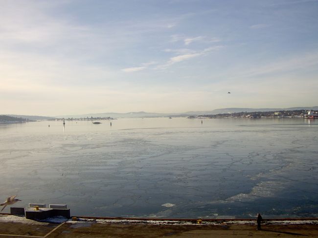 オスロ港です。フィヨルドの奥なので、大きな湖のような感じがします。陸に近いところは結氷していました。