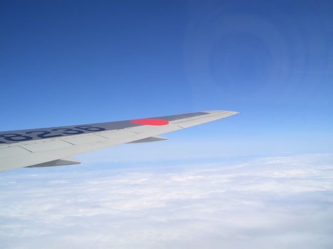 空の上は青空！！<br /><br />上空からの富士山を見ようと<br />張り切っていたのに<br />朝食（空弁）に夢中になっていたら<br /><br />通り過ぎてた・・・