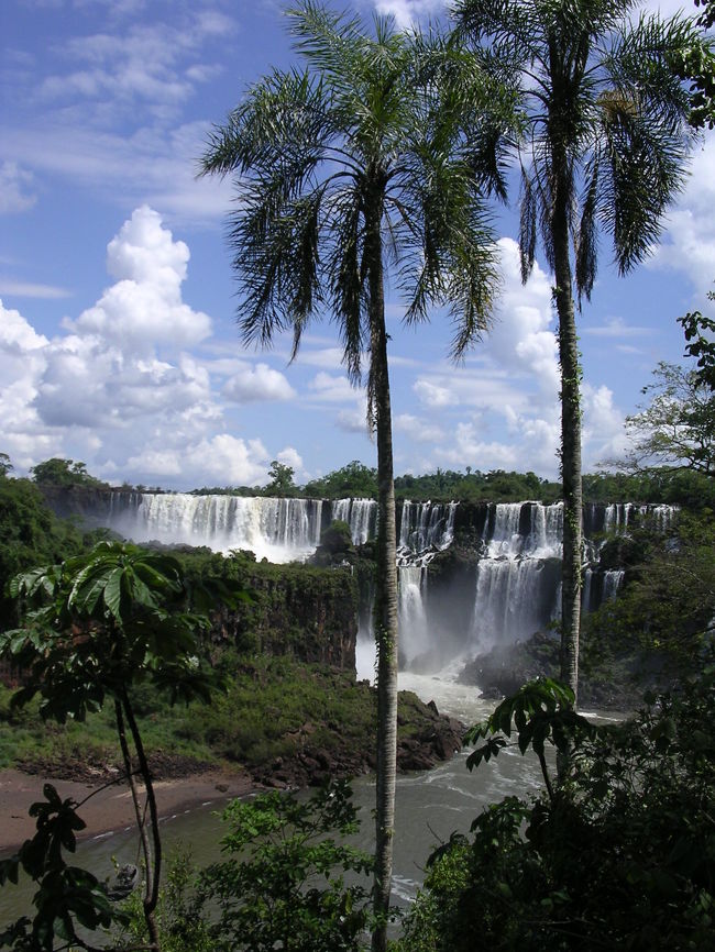 まるでリゾート地の景色。<br />奥に見えるのがイグアス。<br />トレールを巡って行く事約10km。<br />確かに、体力勝負。<br />