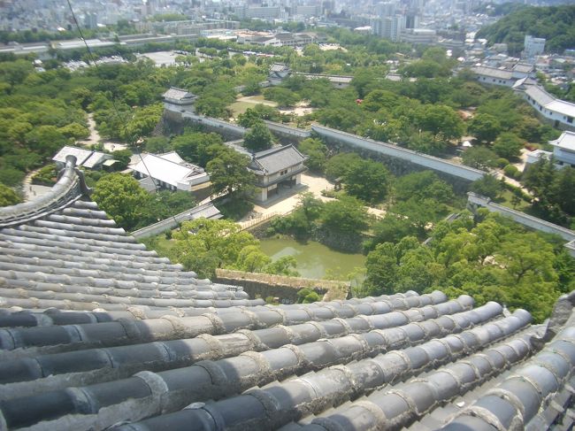 天守閣　頂上からの景色<br /><br />急な階段（梯子みたい）をよじ登り<br />頑張って天守閣頂上へ。<br /><br />お年寄りは、この階段は厳しいです