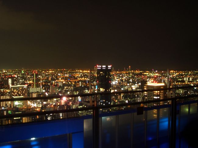 ガラス張りでない展望台って初めて♪<br />風が気持ちよい<br /><br />もっとキレイだったけど<br />夜景モードで写真を撮るのって<br />難しいのねぇ