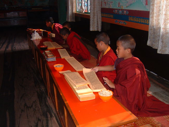 　本堂の内部は、読経が始まったところでした。ちいさな坊様が、もじもじしながら経典を読んでいます。男の子がたくさん生まれると、こうしてお寺に出されることは、昔からの慣わしです。お前もここに残って坊様になるか、長男に聞くと、まじ、驚いた顔で私を見ました。