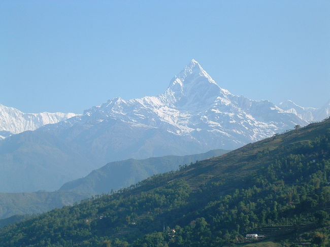 　で、ぐるっと、まわると、これだあ！フィッシュテイル６９９３ｍ。観光産業でもっているネパール政府が、登頂許可を絶対おろさない霊山です。