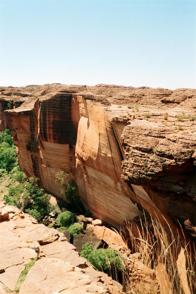 その後キングスキャニオンをハイキング。（激キツ）<br /><br />どこかの国のおデブちゃんとシンガポールのおばちゃん二人は途中で脱落。<br />へとへとになって降りてくると、地面から蛇口が出ててドリンキングウォーターと書いてある。すげー。さすがインフラが整っておる。