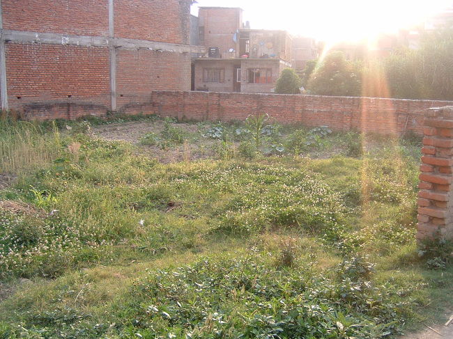 　たどり着いた叔父さんの家の前の、麦事務所建設予定地。叔父さんが、ほとんど自分の畑状態にしている。