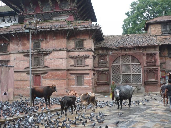 ダルバール広場の一角です