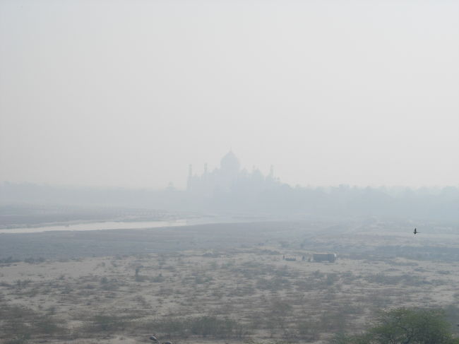 Agra Fort, Agra. Jan.23<br />アーグラ城砦の屋上からは、タジマハールが望める。