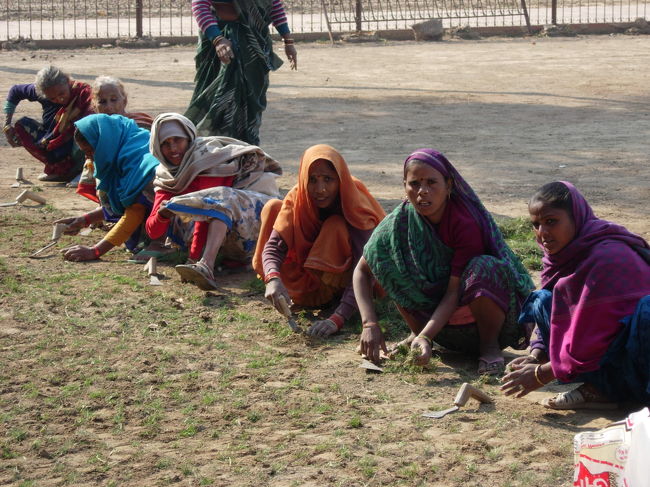 Agra Fort, Agra. Jan.23<br />庭が美しい。写真は、作業する方々。