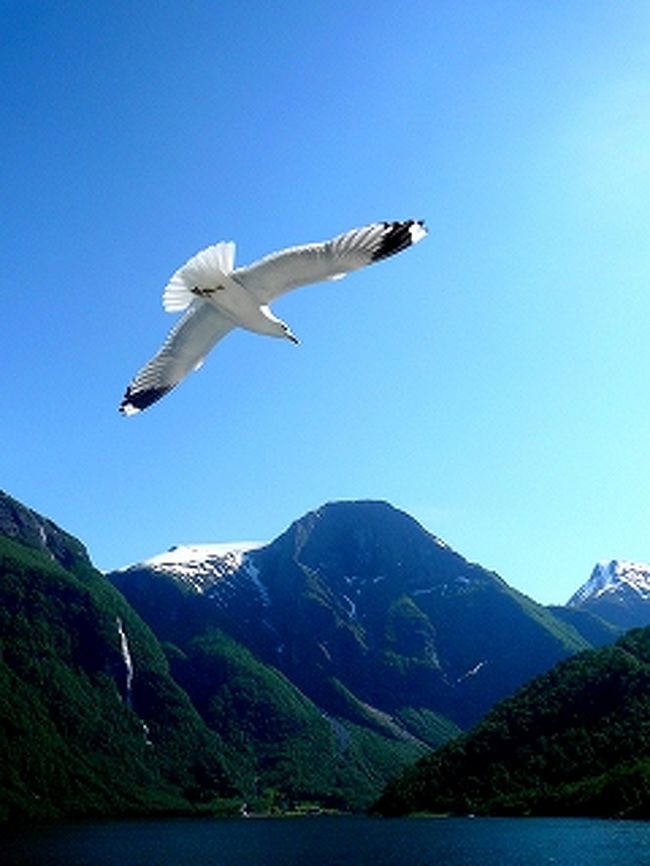 『鳥よ』<br /><br />羽ばたく　命は儚く<br />