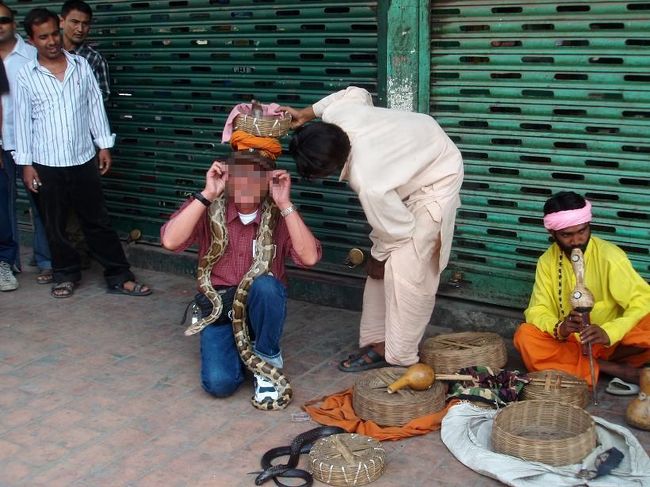 蛇使いがいました。好奇心旺盛の私の連れうちの一人はニシキヘビを首に巻いてもらいご満悦。頭上にはコブラが…ちなみに彼は先ほどのデモ隊と記念撮影をしていました。