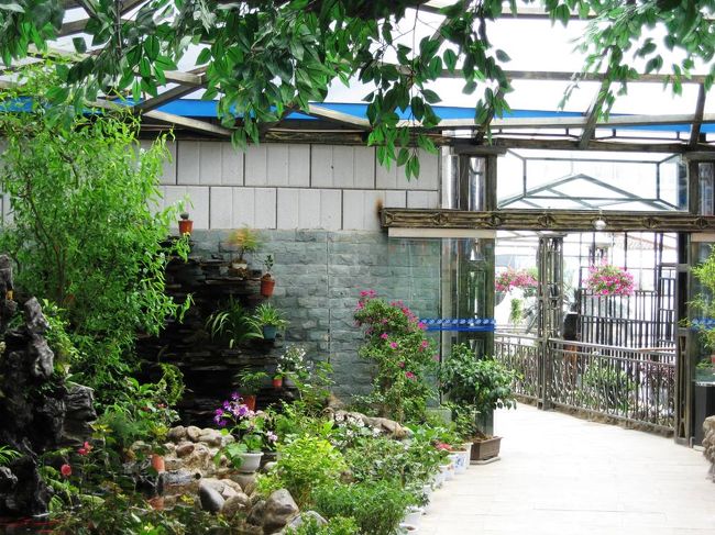 ホテルのロビーから、裏側の駐車場へ抜ける通り道です。右側にはオープンカフェーがあり、左手の庭も綺麗に手入れしてありました。