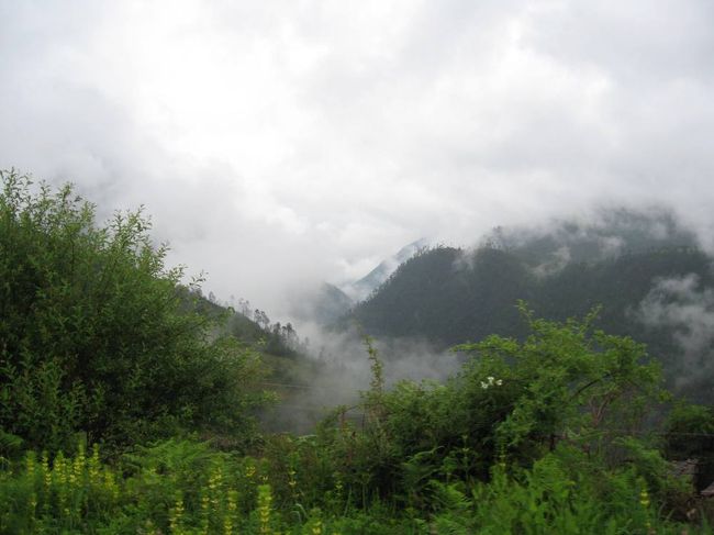 昨日の雨はやんで、天候が回復してきているようでした。峠越えの山道で、山裾から晴れ上がっていく景色が幻想的でした。