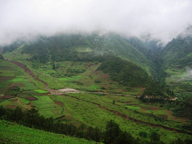 耕作可能な土地は、畑か果樹園にされていました。水源か、潅漑の関係でしょうか？田圃は余り見ませんでした。イ族は蕎麦が主食のようです。