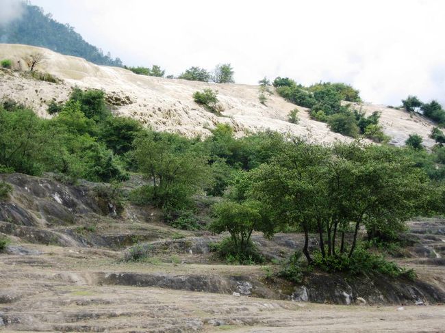 薄い茶色と濃茶色の地形です。単なる想像ですが、雨季に入ると、この一帯も綺麗な水で覆われるのではないでしょうか？
