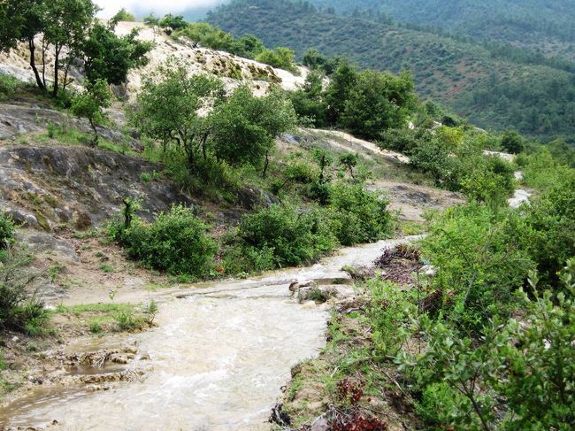 先ほどの台地が枯れていたのは、雨季の初めである理由と、水路が脇に逸れているためかも知れません。今でも、水量はかなりありました。